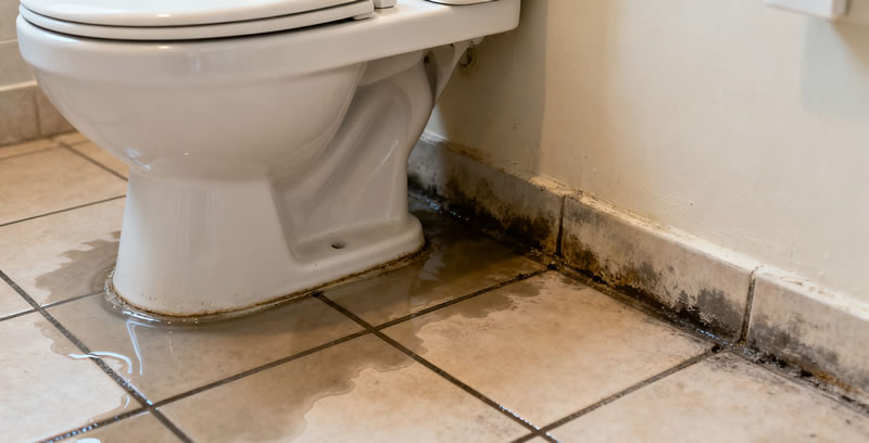 卫生间反复漏水?贵阳正规防水公司揭示三大隐蔽病因 卫生间反复漏水?贵阳正规防水公司揭示三大隐蔽病因