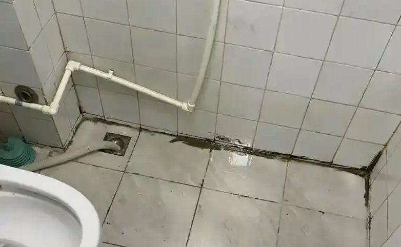 0 0