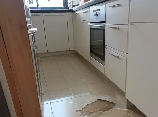 0 0